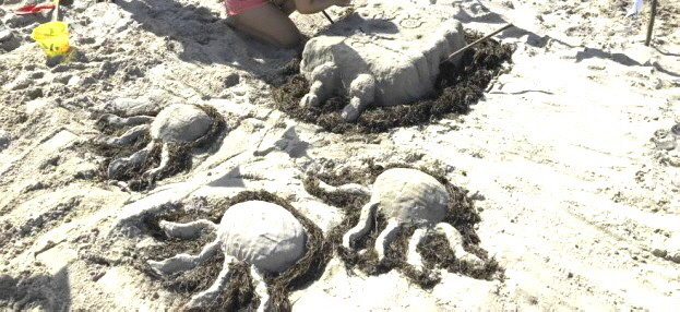 Die Gegend rund um den Greifswalder Bodden glänzt fernab von Alltagsstress und Hektik mit familienfreundlichen Badestränden und idyllischen Fischerdörfern. Die vielen Sandstrände entlang des Boddens garantieren Ruhe und Erholung. Flache Wassereinstiege so