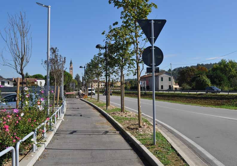 Unterirdische Wurzelbildung der Bäume ohne zerstörte Straßen und Gehwege mit NEW ELEVETOR TANK